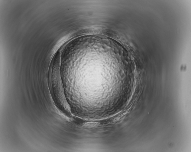X0000094170051200710261118