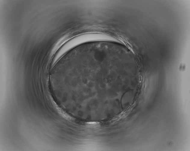 X0000094170053200710261118