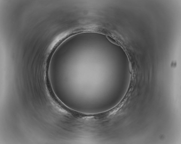 X0000094170054200710261118