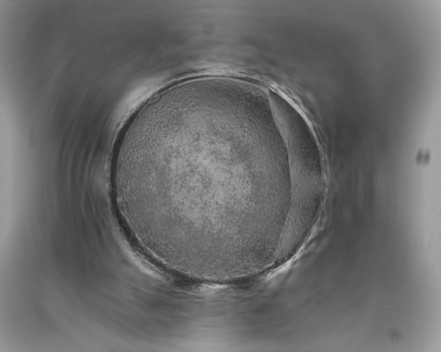 X0000094170055200710261118