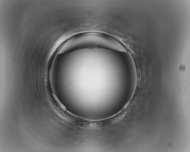 X0000094170056200710261118