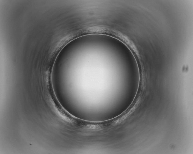 X0000094170057200710261118
