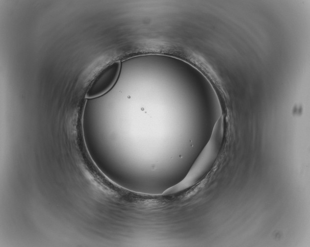 X0000094170058200710261118