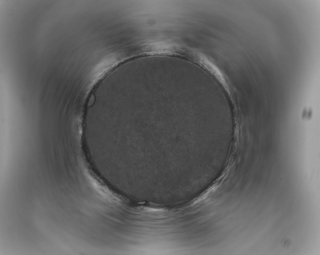 X0000094170059200710261118
