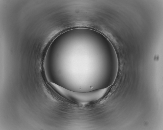 X0000094170060200710261118