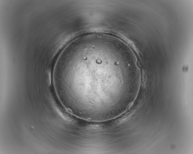 X0000094170061200710261118