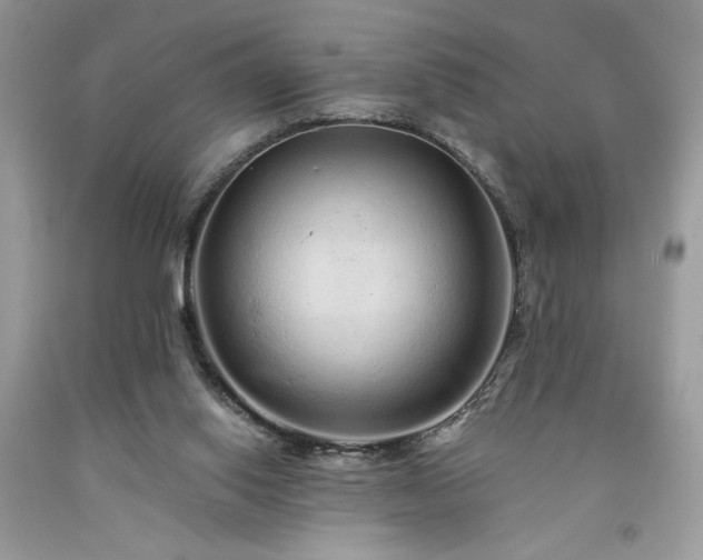 X0000094170062200710261118
