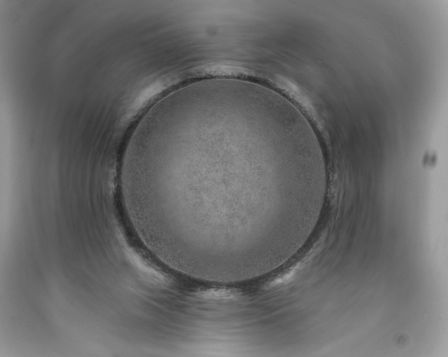 X0000094170063200710261118