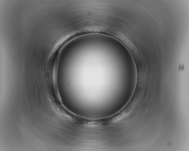 X0000094170064200710261118