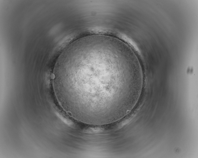 X0000094170065200710261118