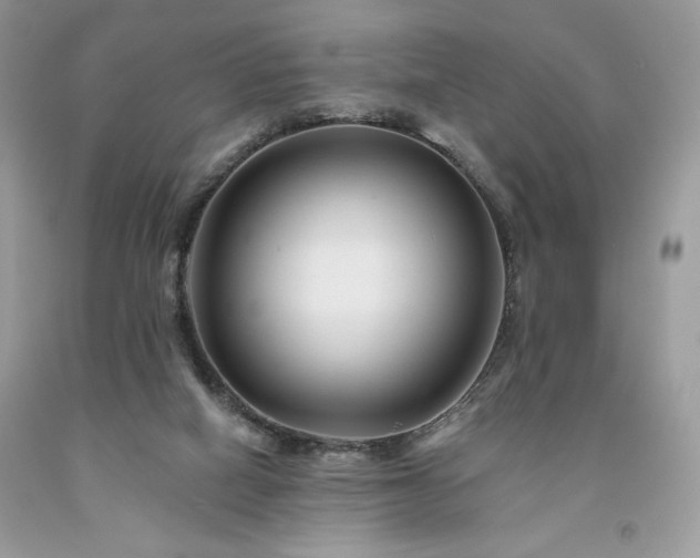 X0000094170066200710261118