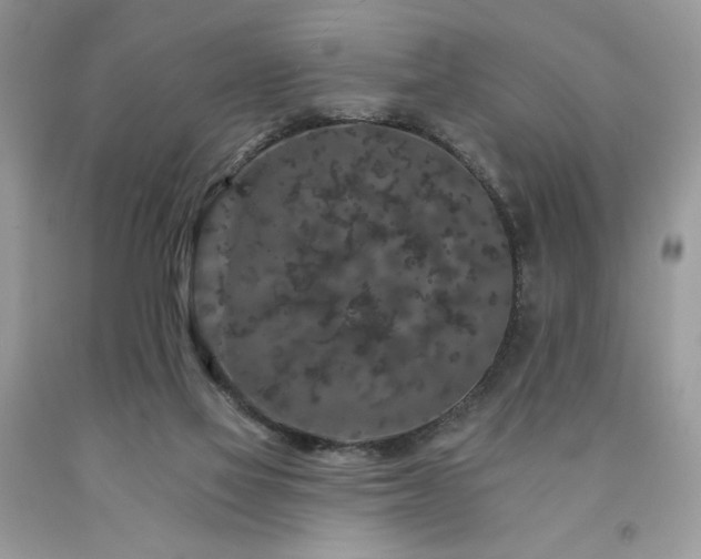 X0000094170069200710261118