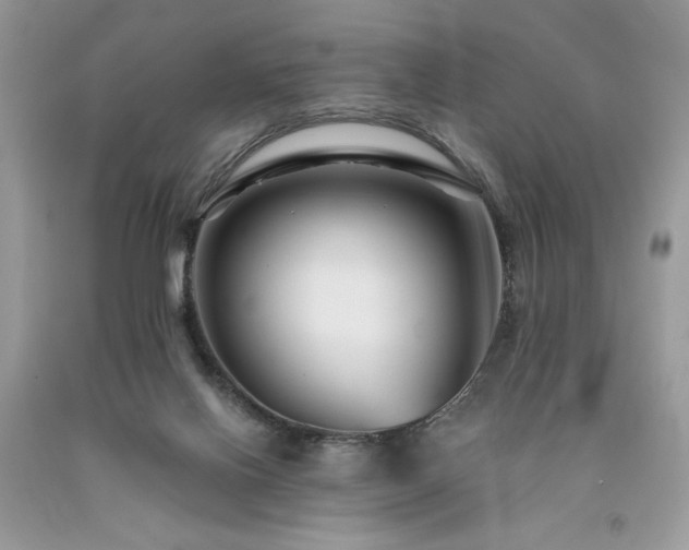 X0000094170070200710261118