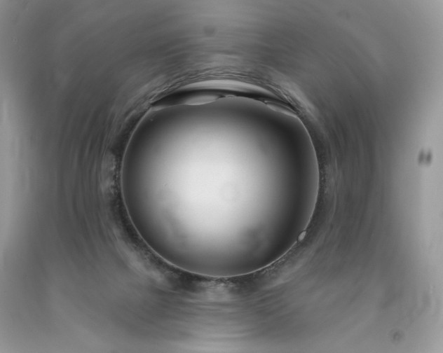 X0000094170073200710261118