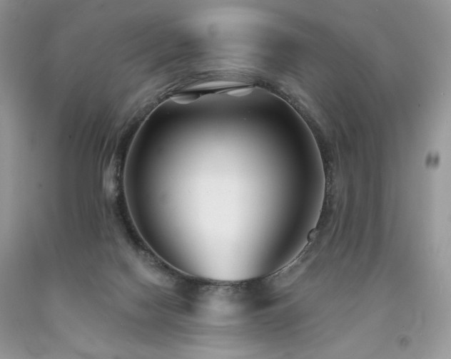 X0000094170074200710261118