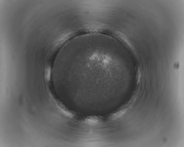 X0000094170076200710261118
