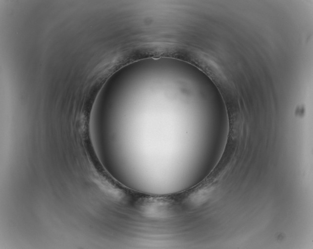 X0000094170077200710261118