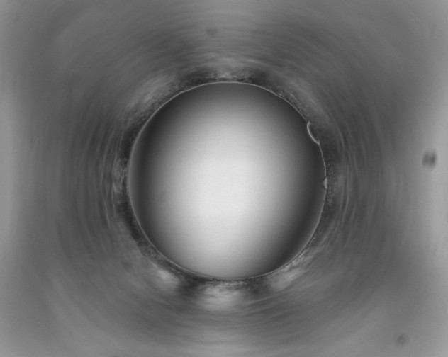 X0000094170078200710261118