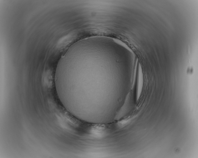 X0000094170080200710261118