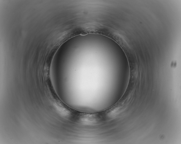 X0000094170081200710261118