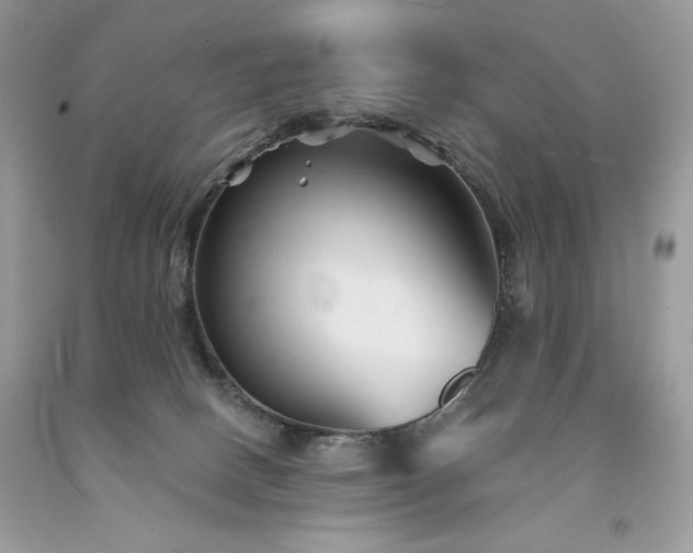 X0000094170082200710261118