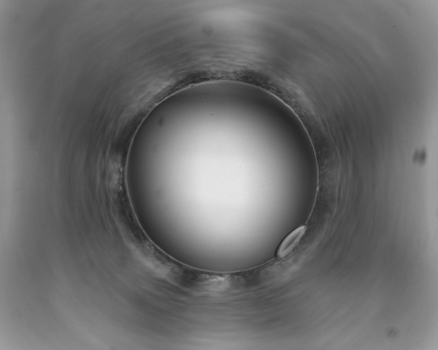 X0000094170083200710261118