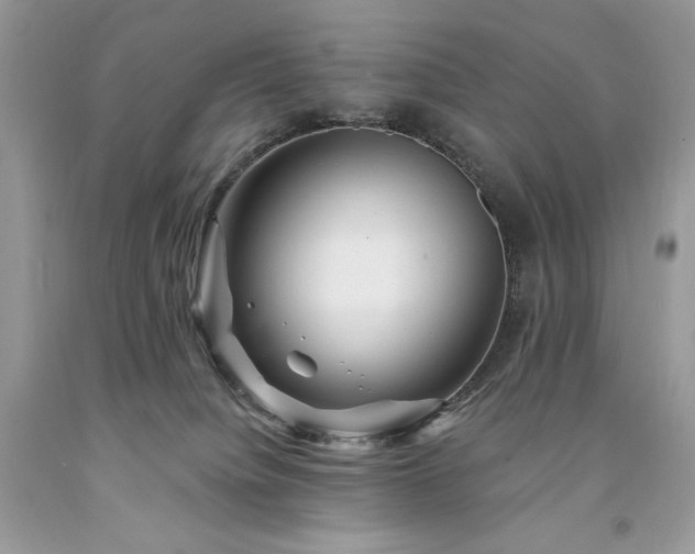 X0000094170084200710261119