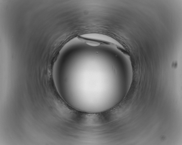 X0000094170085200710261119