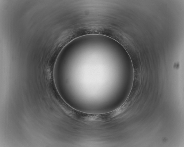X0000094170086200710261119