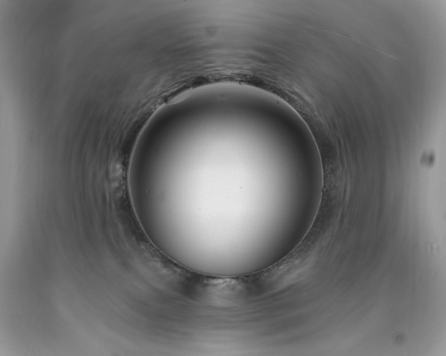 X0000094170087200710261119