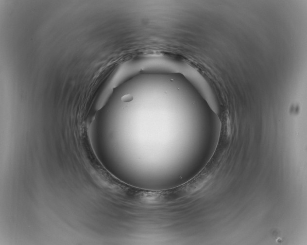 X0000094170088200710261119