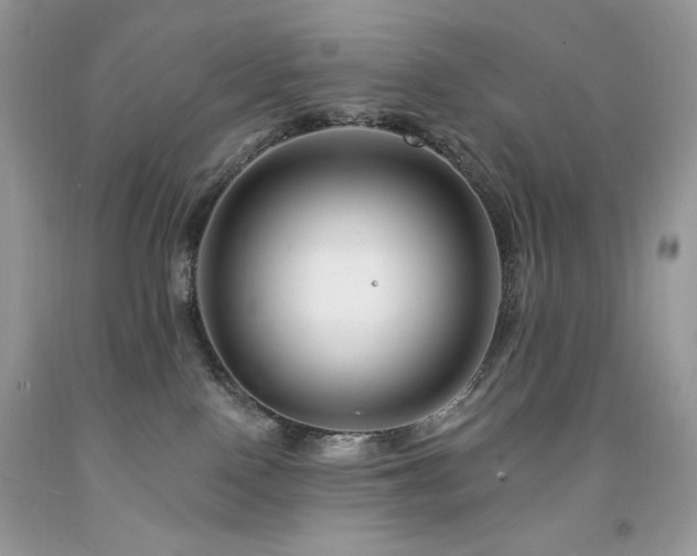 X0000094170090200710261119