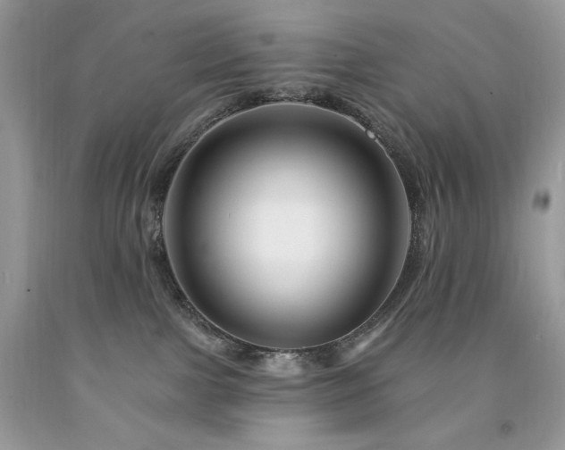 X0000094170091200710261119