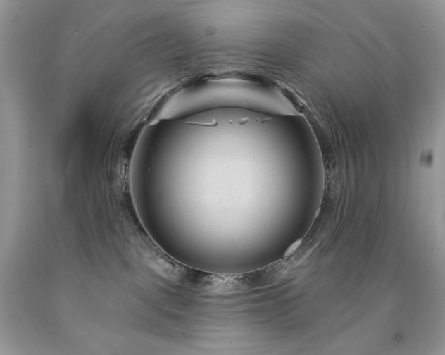 X0000094170093200710261119