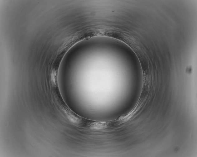 X0000094170094200710261119