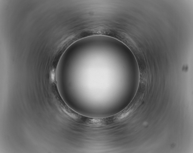 X0000094170095200710261119