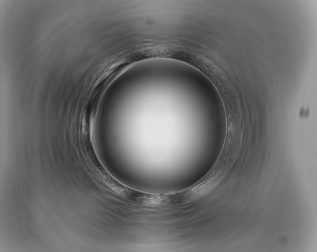 X0000094170096200710261119