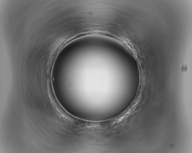 X0000094170097200710261118