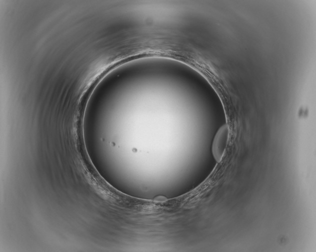 X0000094170098200710261118