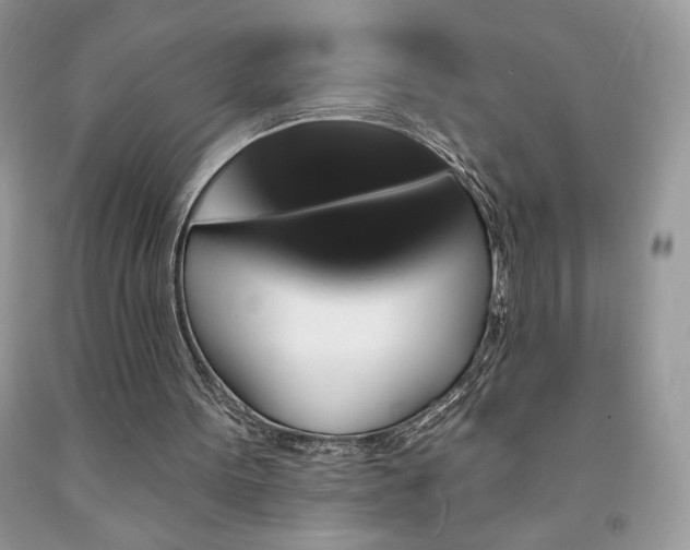 X0000094170099200710261118