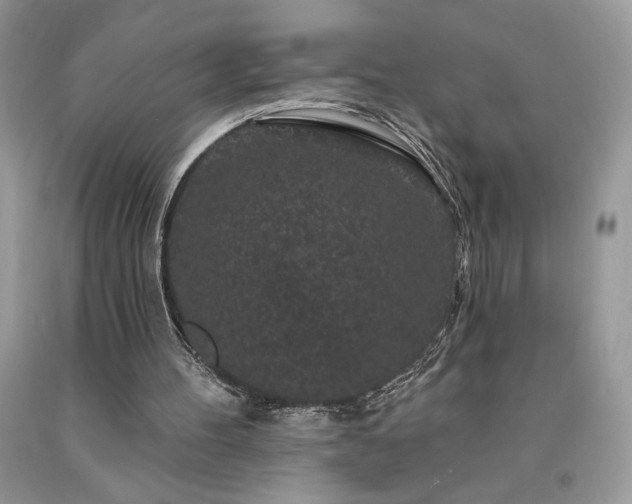X0000094170100200710261118