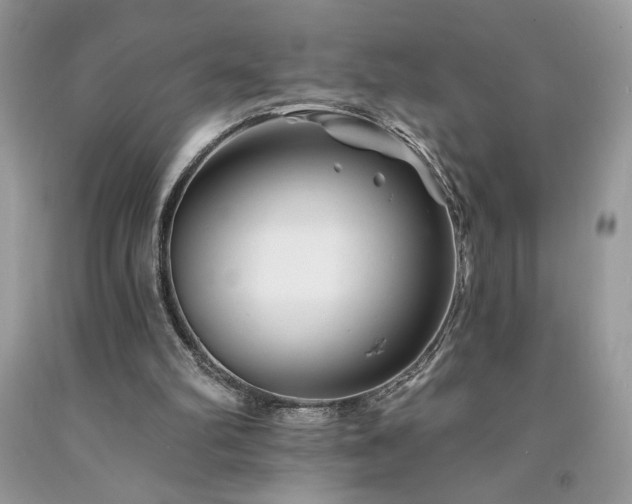 X0000094170102200710261118