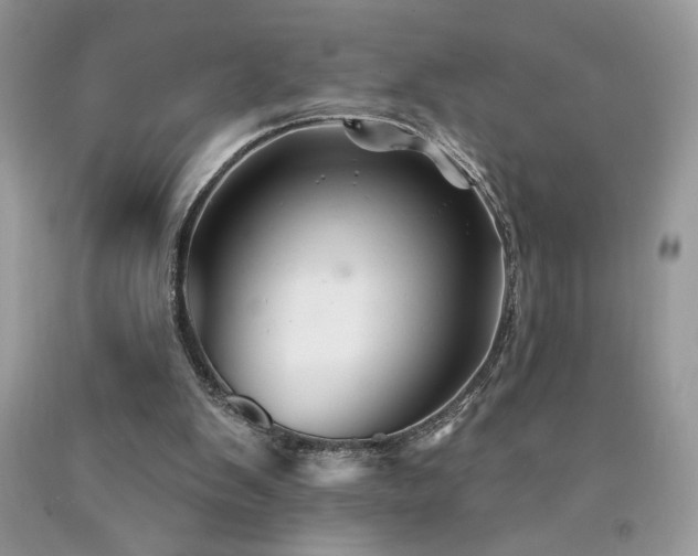 X0000094170103200710261118