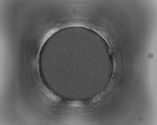 X0000094170104200710261118
