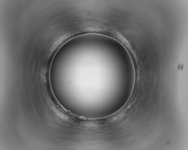X0000094170106200710261118