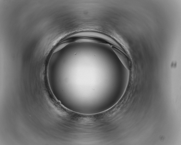 X0000094170107200710261118