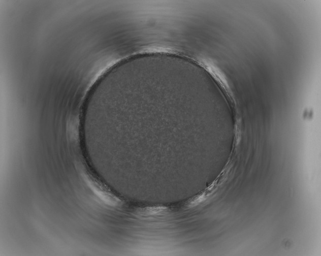 X0000094170108200710261118