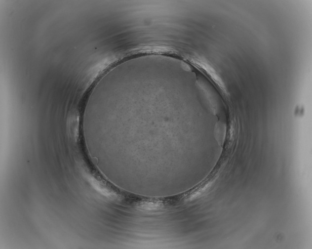 X0000094170110200710261118