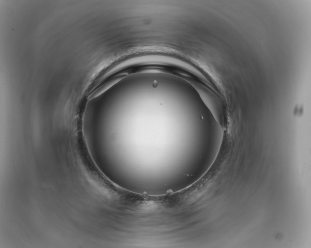 X0000094170111200710261118