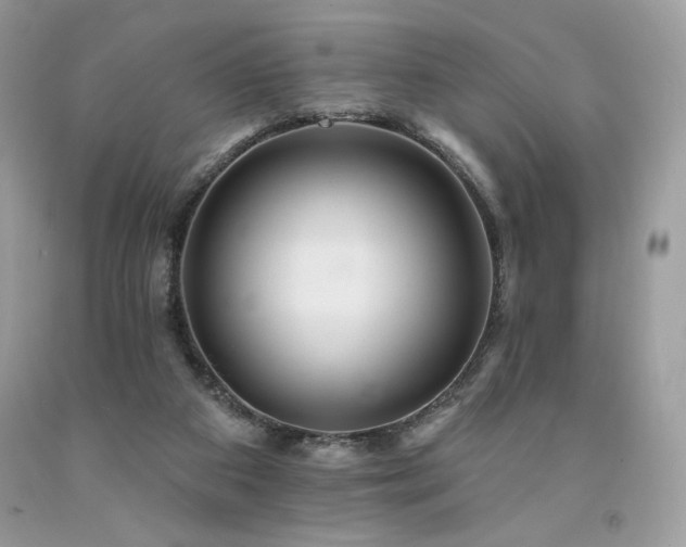 X0000094170113200710261118